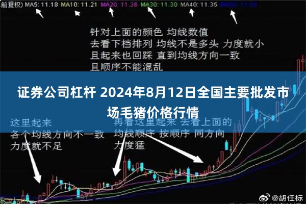 证券公司杠杆 2024年8月12日全国主要批发市场毛猪价格行情