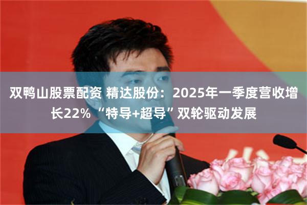 双鸭山股票配资 精达股份：2025年一季度营收增长22% “