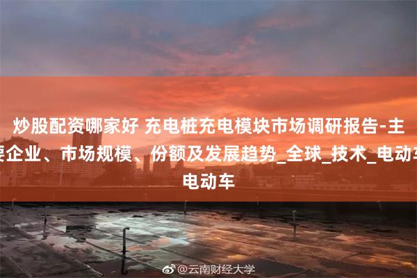 炒股配资哪家好 充电桩充电模块市场调研报告-主要企业、市场规模、份额及发展趋势_全球_技术_电动车