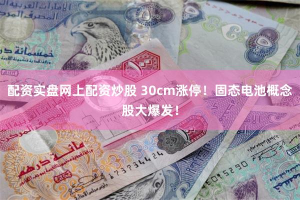 配资实盘网上配资炒股 30cm涨停！固态电池概念股大爆发！