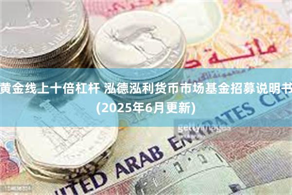黄金线上十倍杠杆 泓德泓利货币市场基金招募说明书(2025年6月更新)