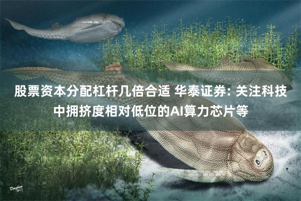 股票资本分配杠杆几倍合适 华泰证券: 关注科技中拥挤度相对低