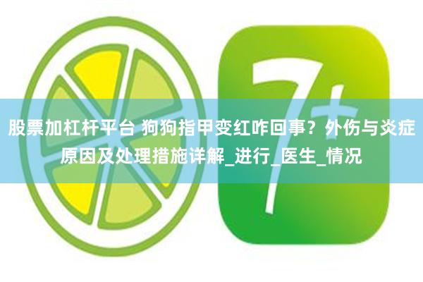 股票加杠杆平台 狗狗指甲变红咋回事？外伤与炎症原因及处理措施