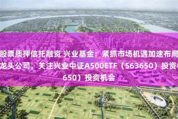 股票质押信托融资 兴业基金：紧抓市场机遇加速布局A股龙头公司