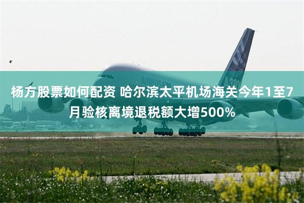 杨方股票如何配资 哈尔滨太平机场海关今年1至7月验核离境退税